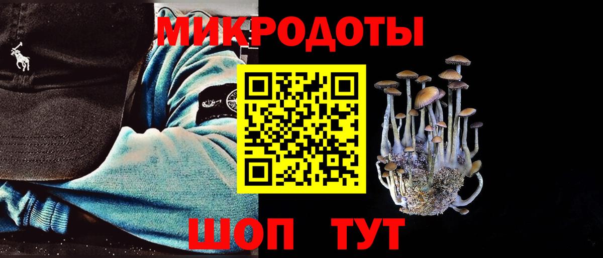 Галлюциногенные грибы MAGIC MUSHROOMS  Вход с VPN  Воронеж  Галлюциногенные грибы мухоморы 