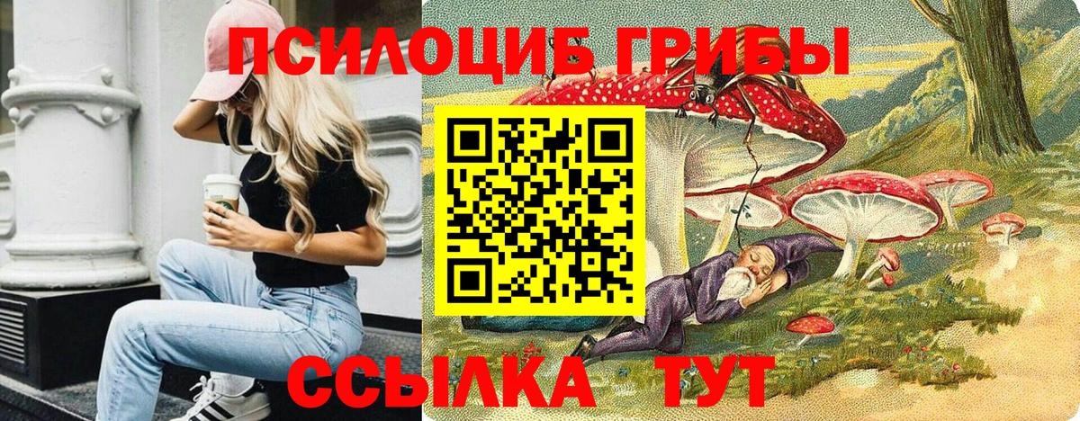Псилоцибиновые грибы Cubensis Воронеж